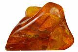 Detailed Fossil Beetle in Baltic Amber #173700-2